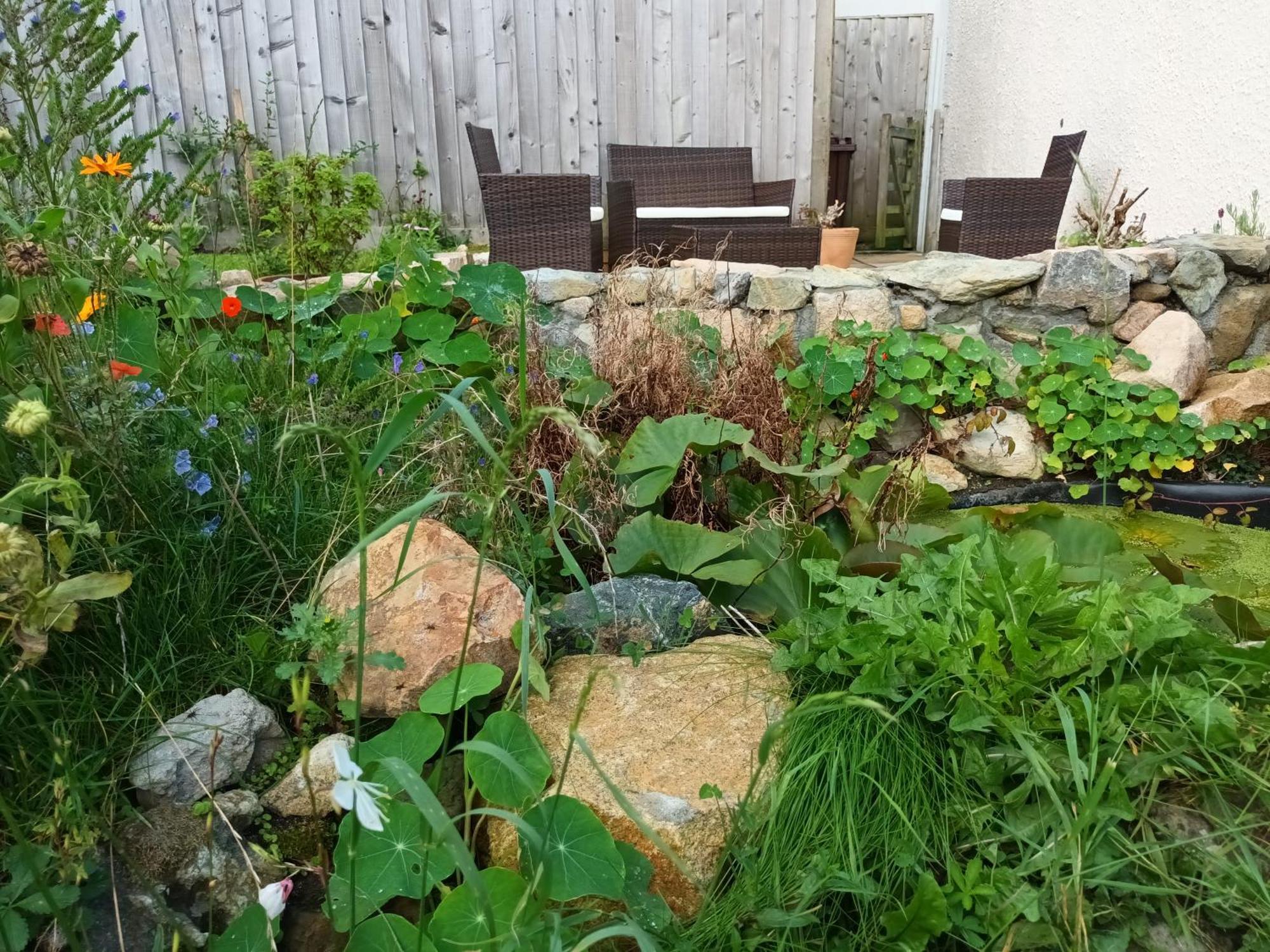 Sunrise! ~ 2 Bedrooms, Garden, Parking, Sea Views St. Ives Exterior photo